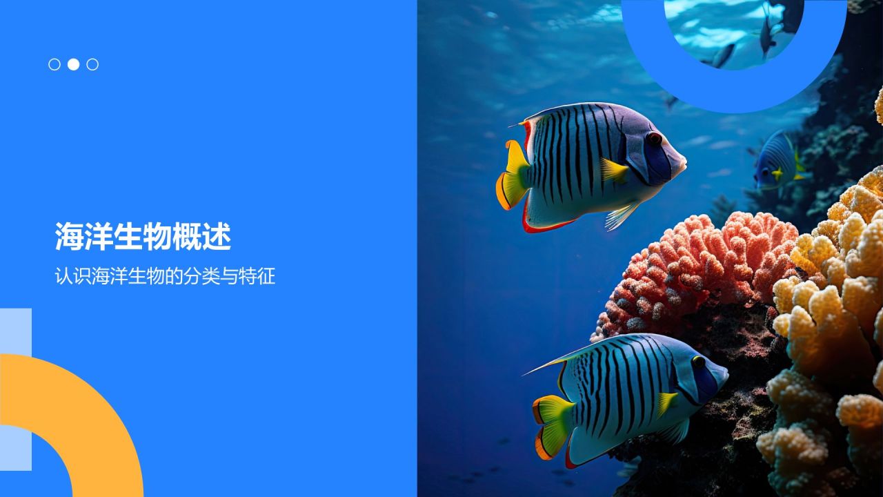 蓝色摄影风海洋生物知识科普PPT模板