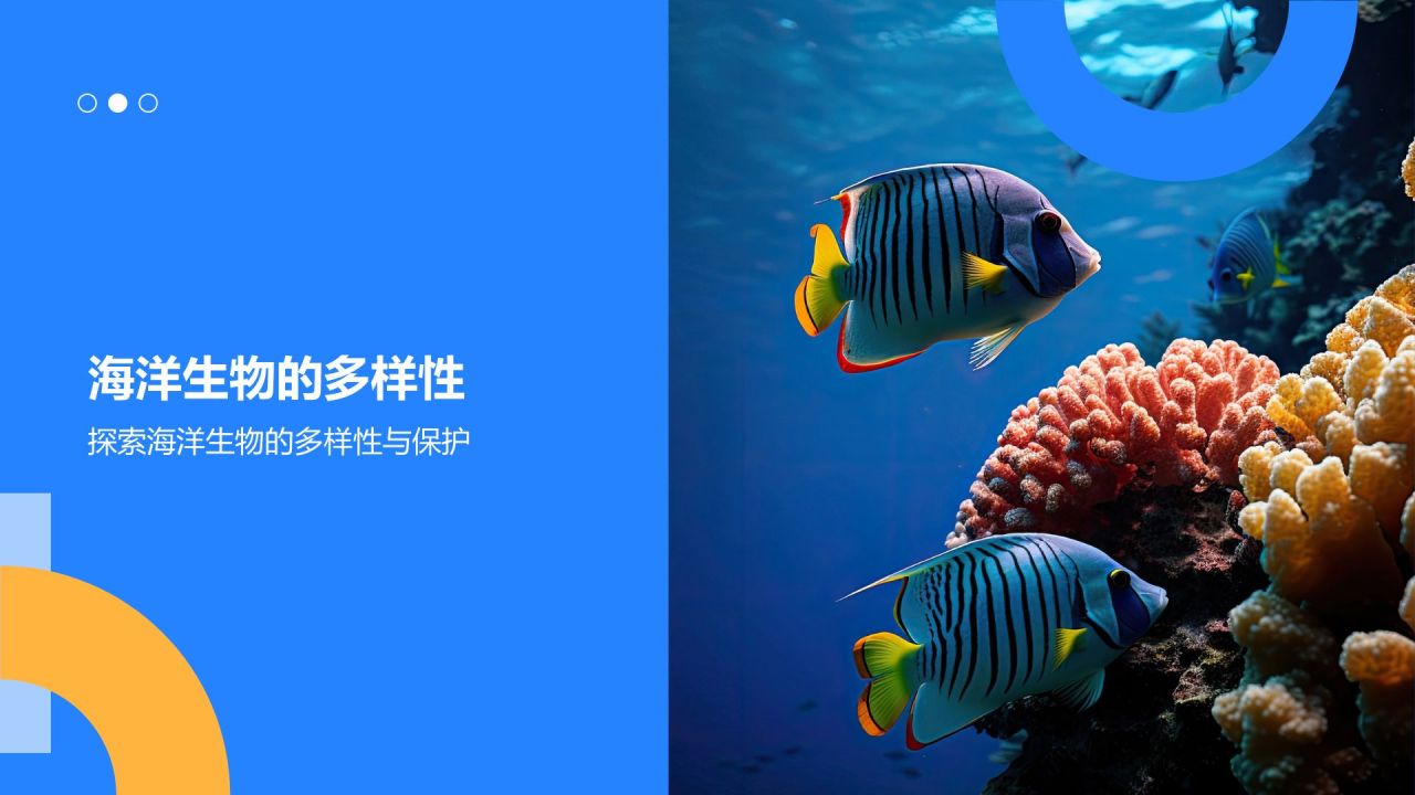 蓝色摄影风海洋生物知识科普PPT模板