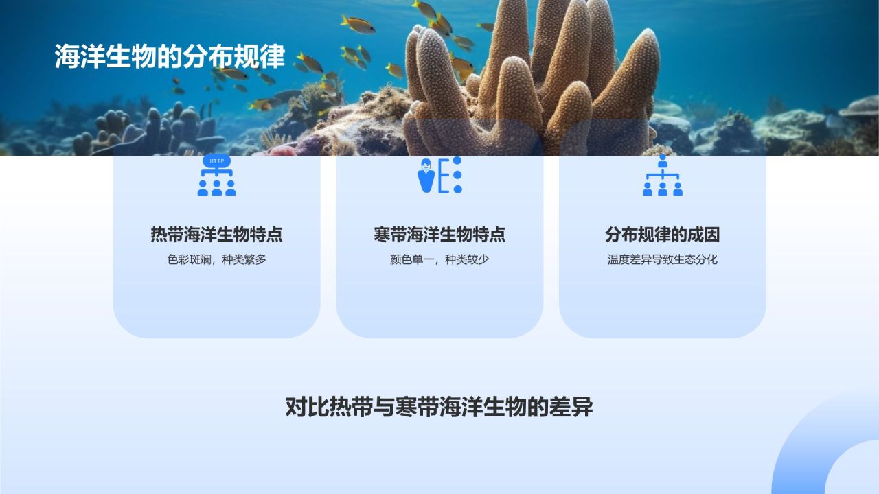 蓝色摄影风海洋生物知识科普PPT模板