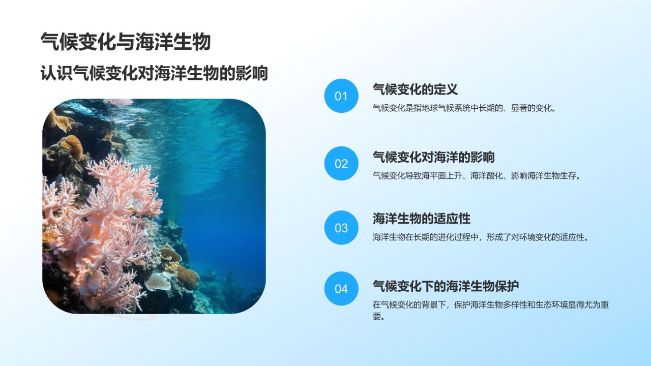 蓝色摄影风海洋生物知识科普PPT模板