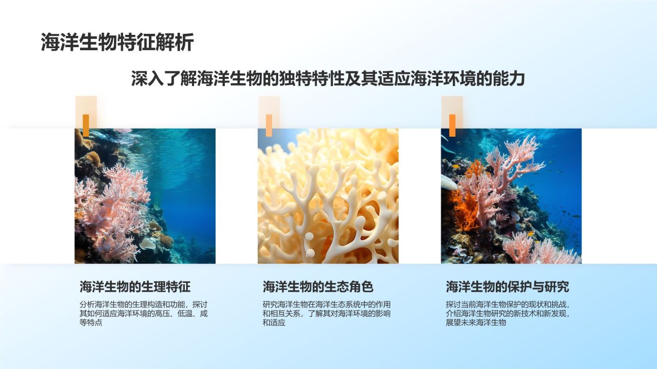 蓝色摄影风海洋生物知识科普PPT模板