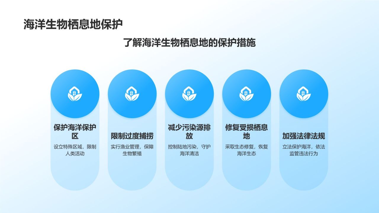 蓝色摄影风海洋生物知识科普PPT模板