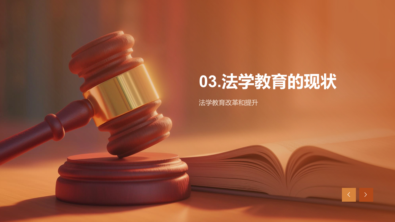 棕色现代法学法律教育现状培训PPT模板