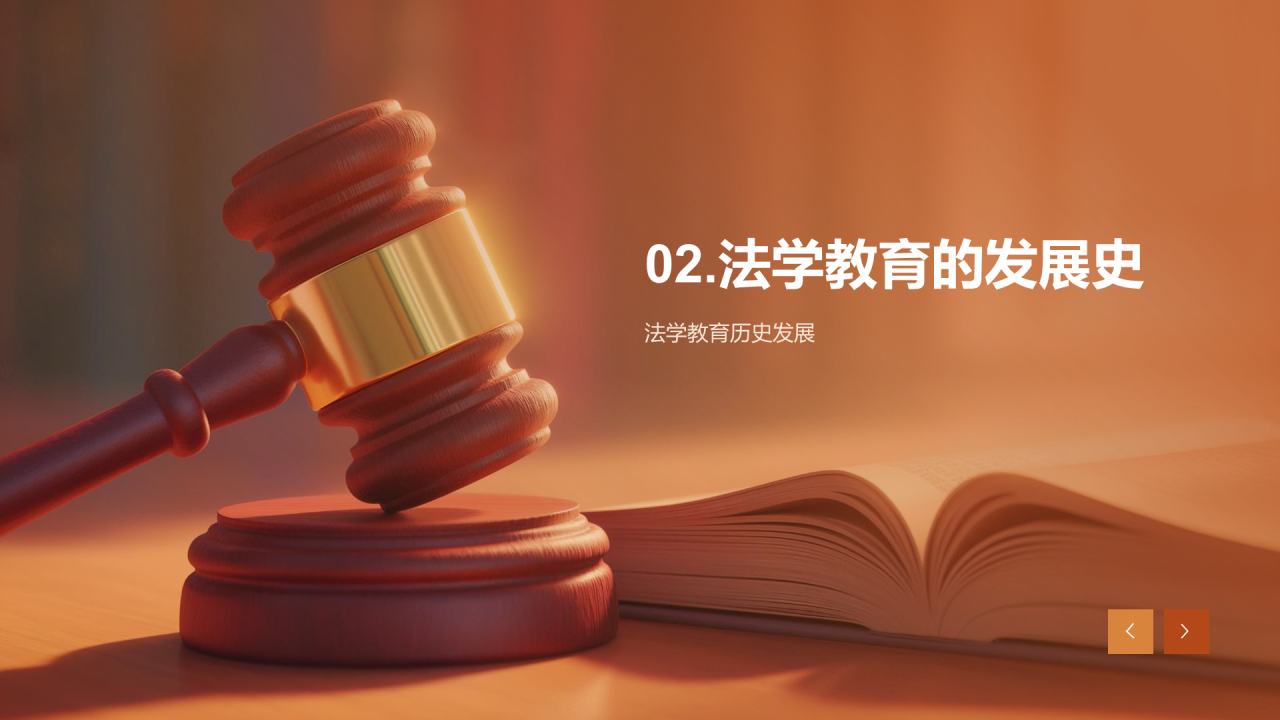 棕色现代法学法律教育现状培训PPT模板