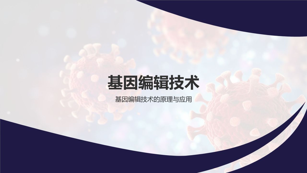 蓝色商务风生物医疗技术研讨会PPT模板