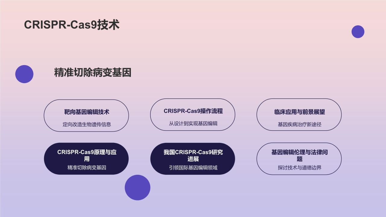 蓝色商务风生物医疗技术研讨会PPT模板