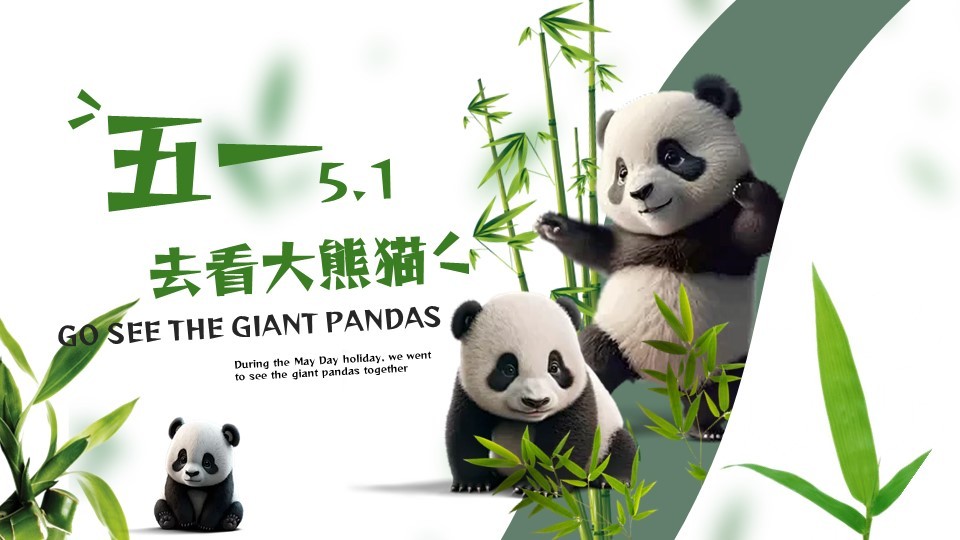 五一去看大熊猫·高级页面分割平滑动画