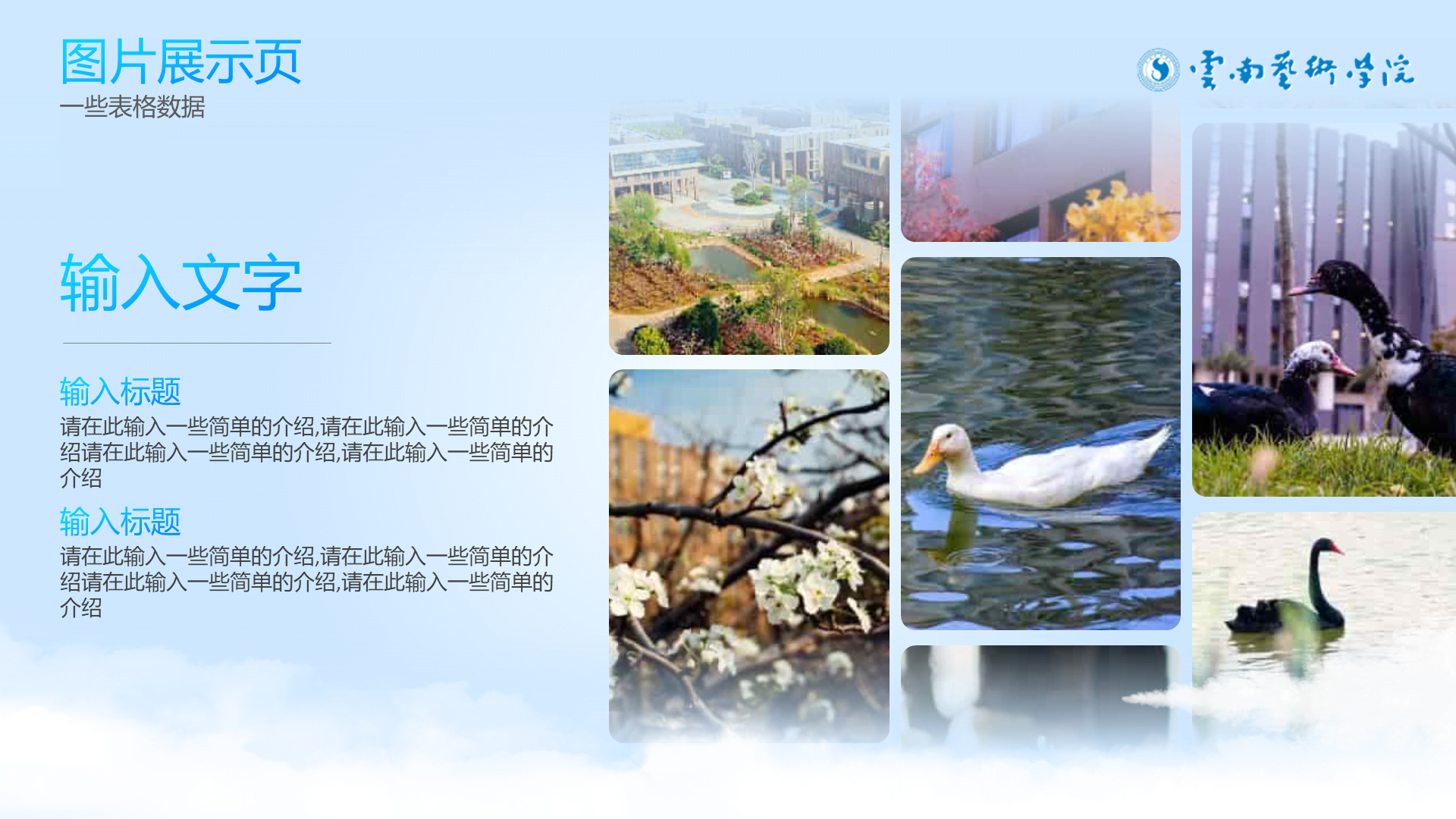 蓝白清新学术云南艺术学院通用PPT模板