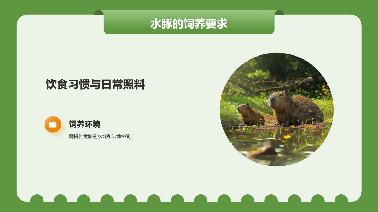 绿色插画风动物界的新顶流卡皮巴拉水豚PPT模板