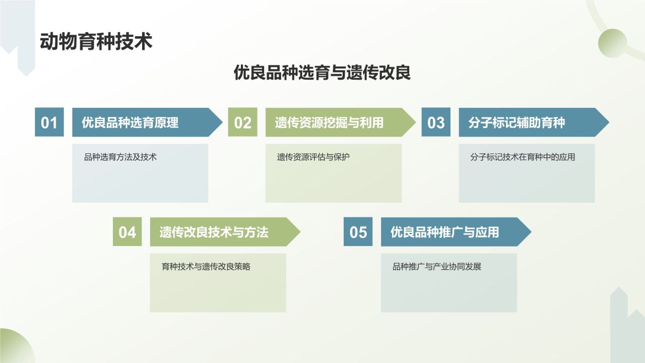 绿色手绘风农林牧渔技术创新与应用PPT模板