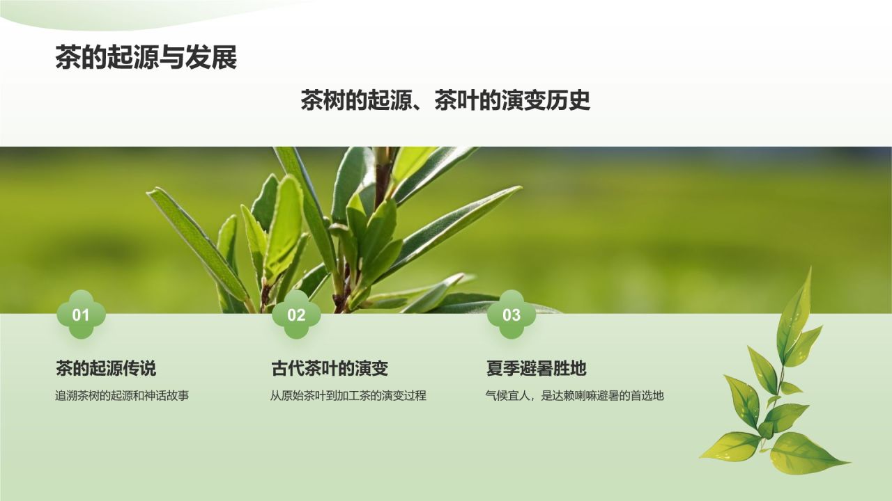 绿色小清新茶文化茶艺介绍通用模板PPT模板