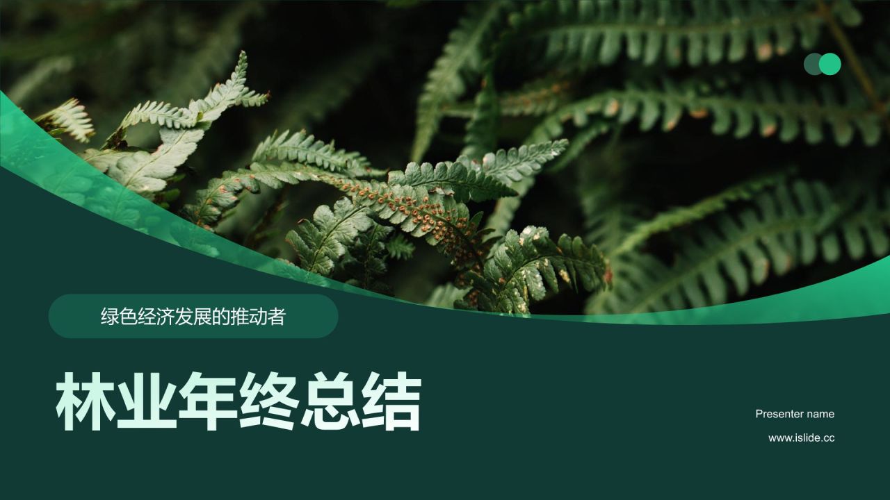 绿色摄影风林业年终总结PPT模板