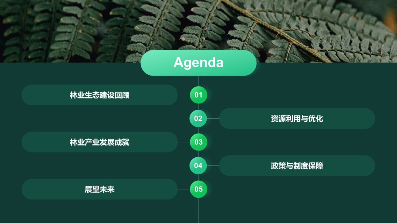 绿色摄影风林业年终总结PPT模板