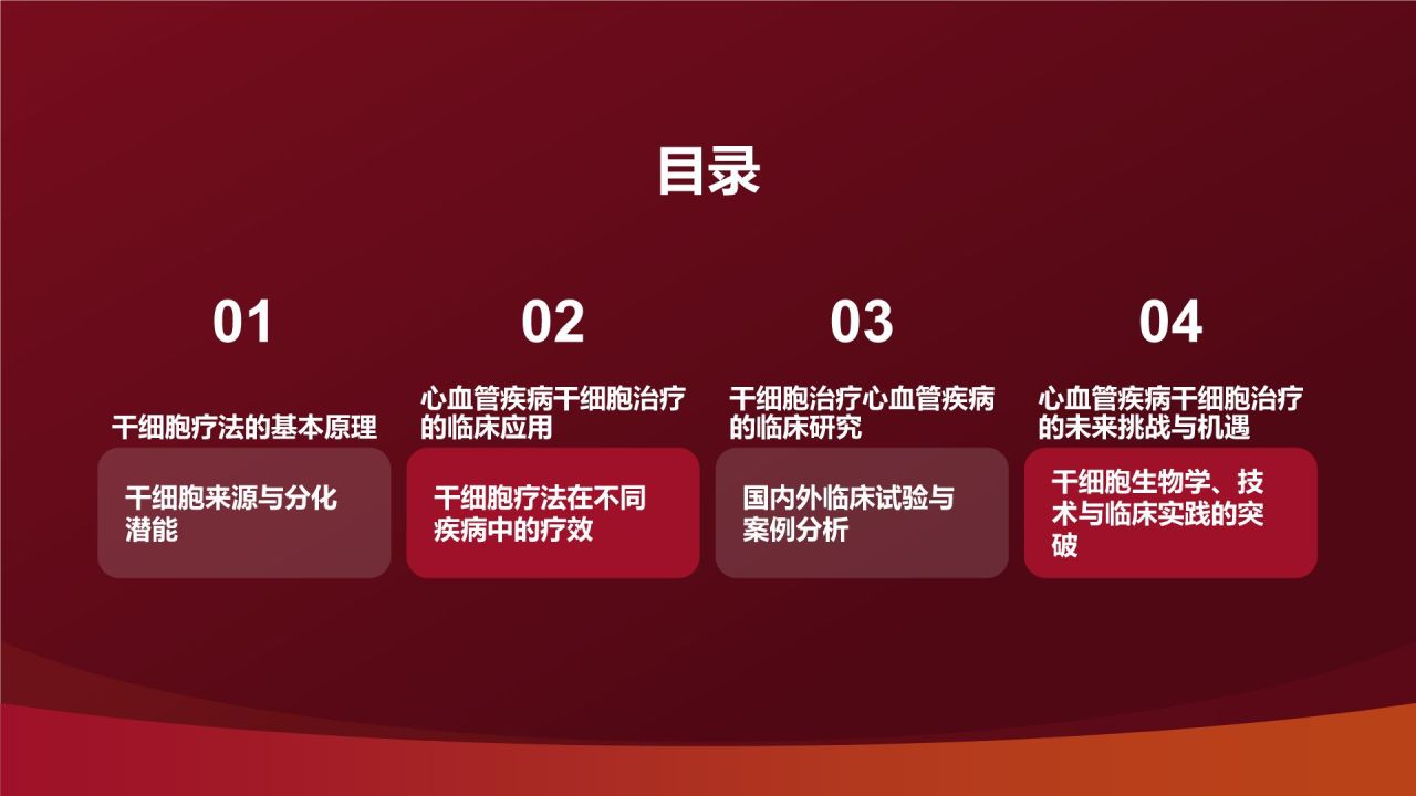 红色摄影风心血管疾病干细胞治疗研究PPT模板