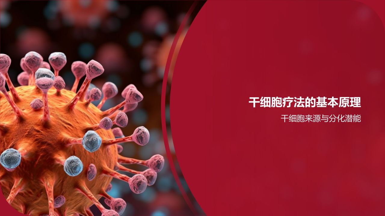 红色摄影风心血管疾病干细胞治疗研究PPT模板
