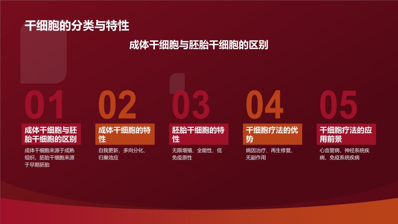 红色摄影风心血管疾病干细胞治疗研究PPT模板