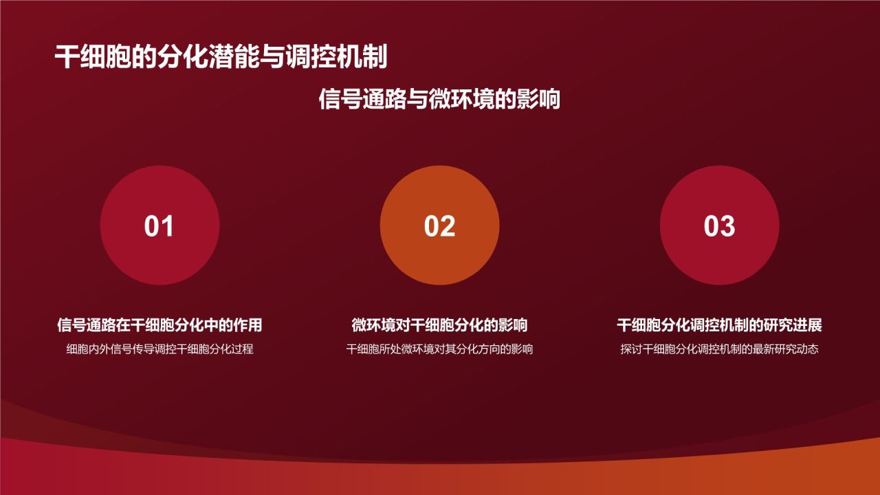 红色摄影风心血管疾病干细胞治疗研究PPT模板