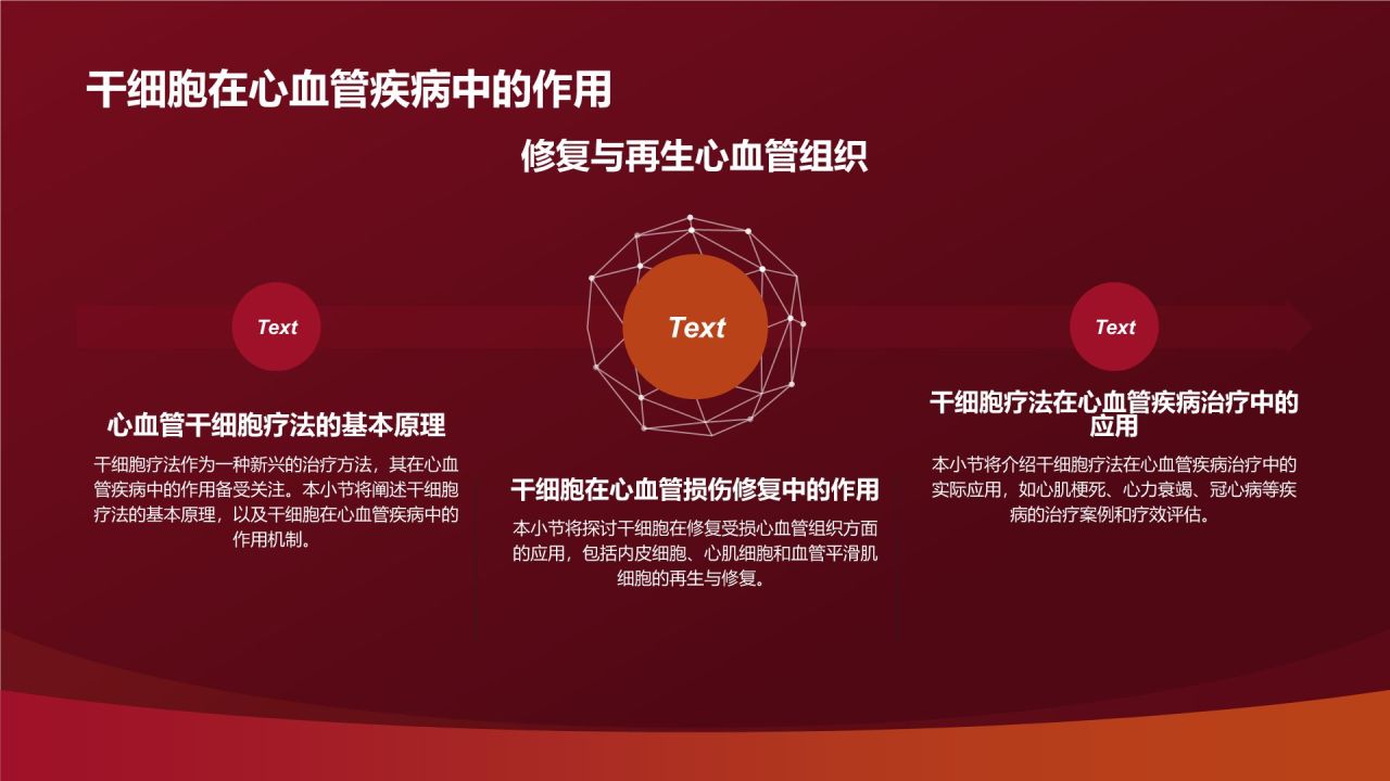 红色摄影风心血管疾病干细胞治疗研究PPT模板