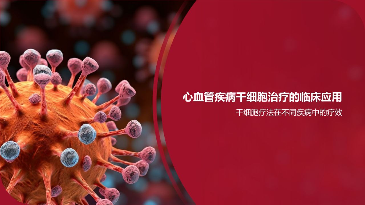 红色摄影风心血管疾病干细胞治疗研究PPT模板