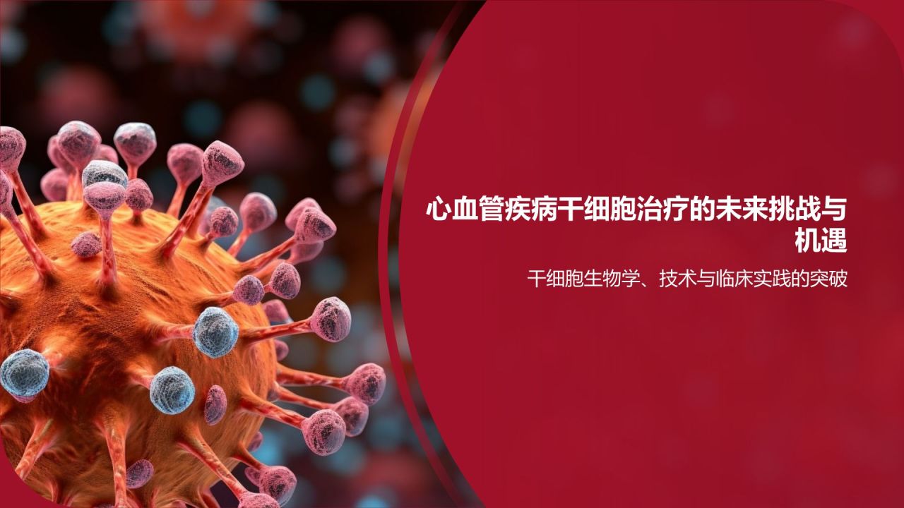 红色摄影风心血管疾病干细胞治疗研究PPT模板