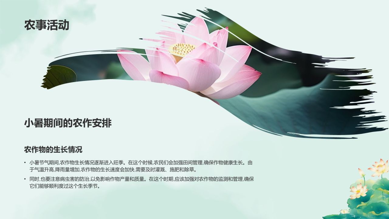 蓝色复古风二十四节气——小暑PPT模板
