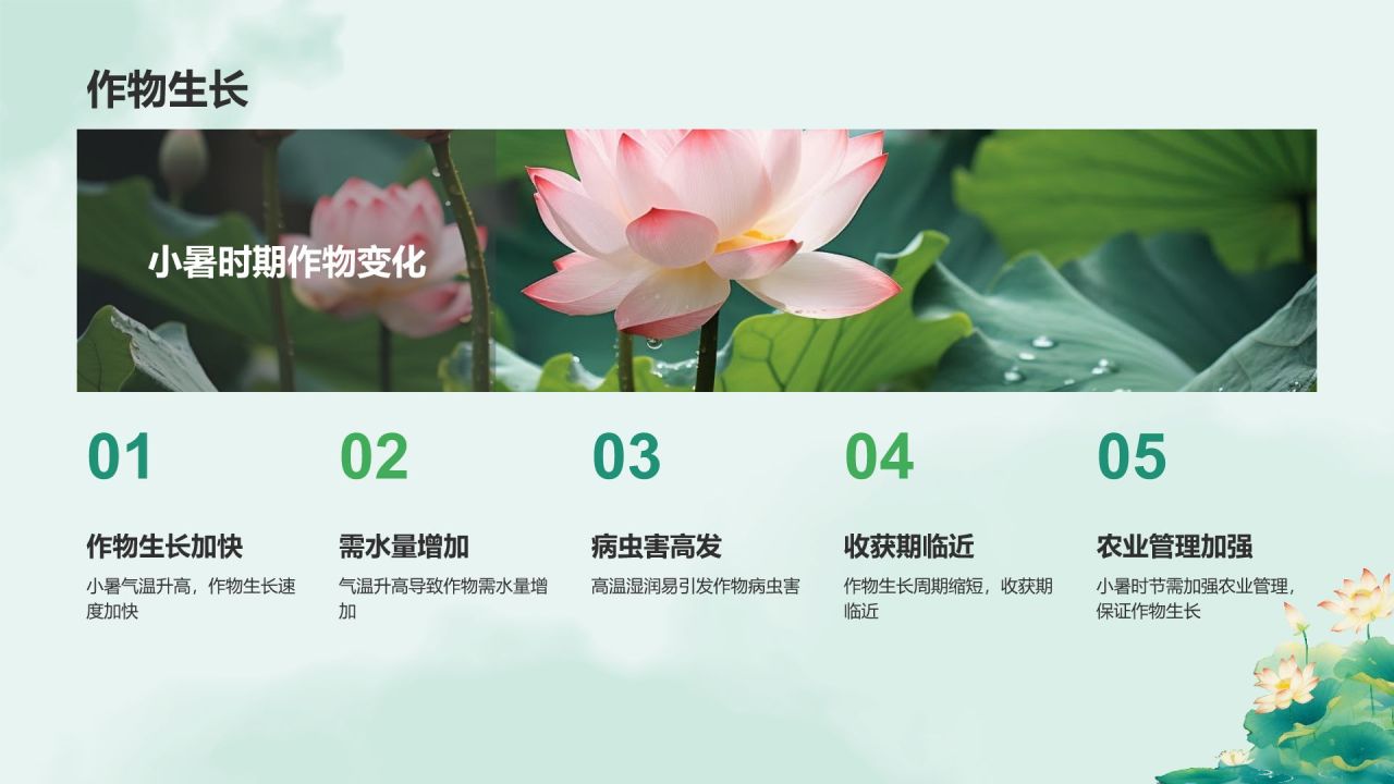 蓝色复古风二十四节气——小暑PPT模板