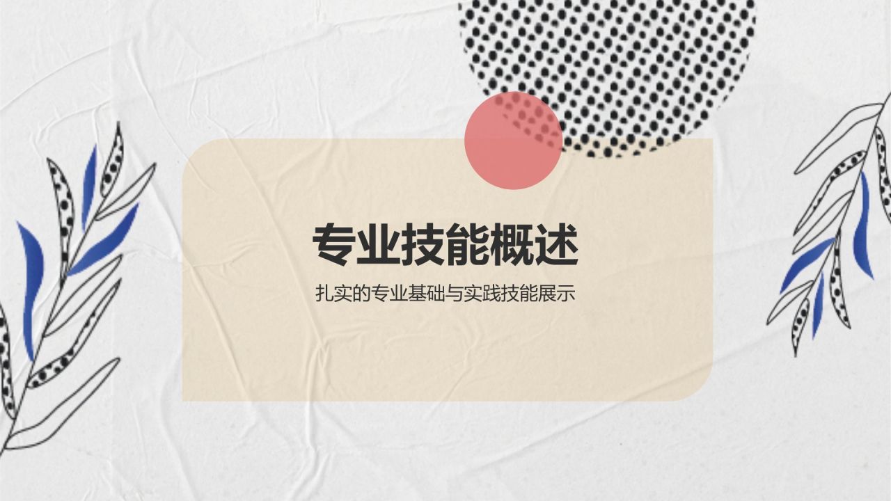 白灰色简约风个人简介PPT模板