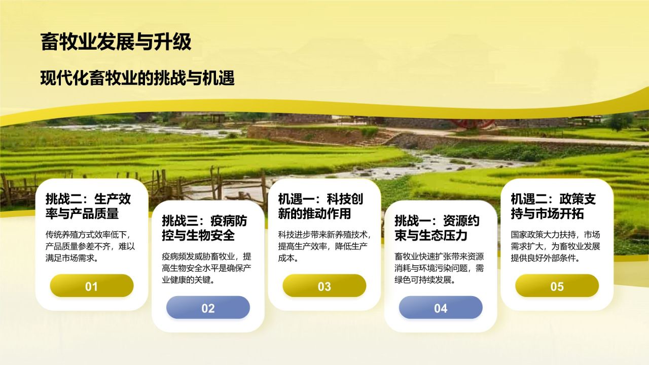黄色摄影风乡村振兴PPT模板