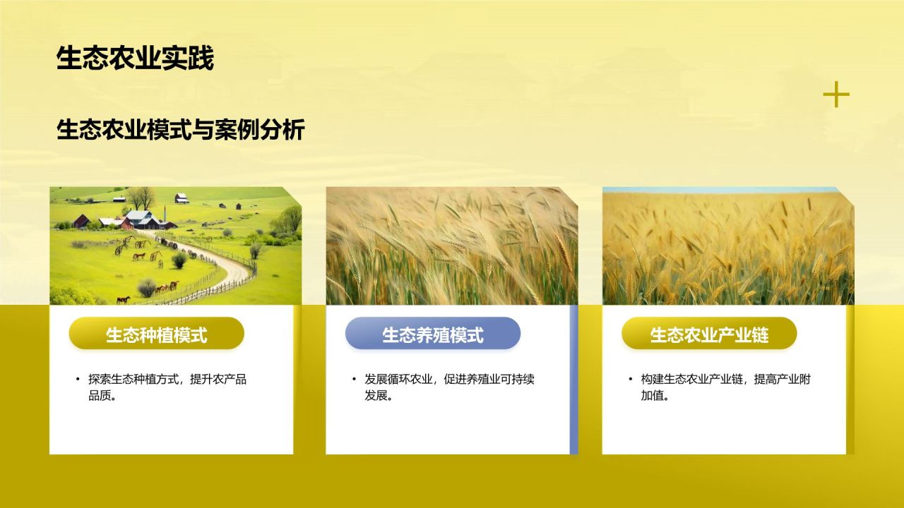 黄色摄影风乡村振兴PPT模板