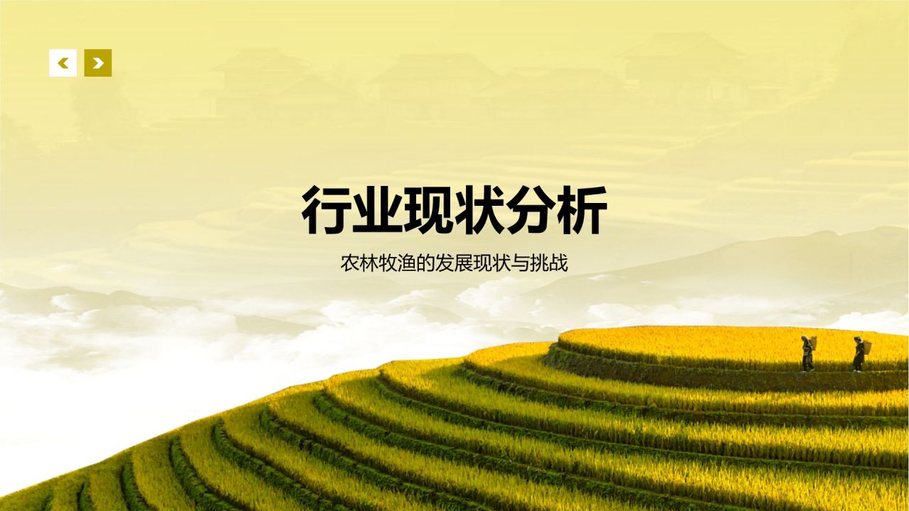 黄色摄影风乡村振兴PPT模板