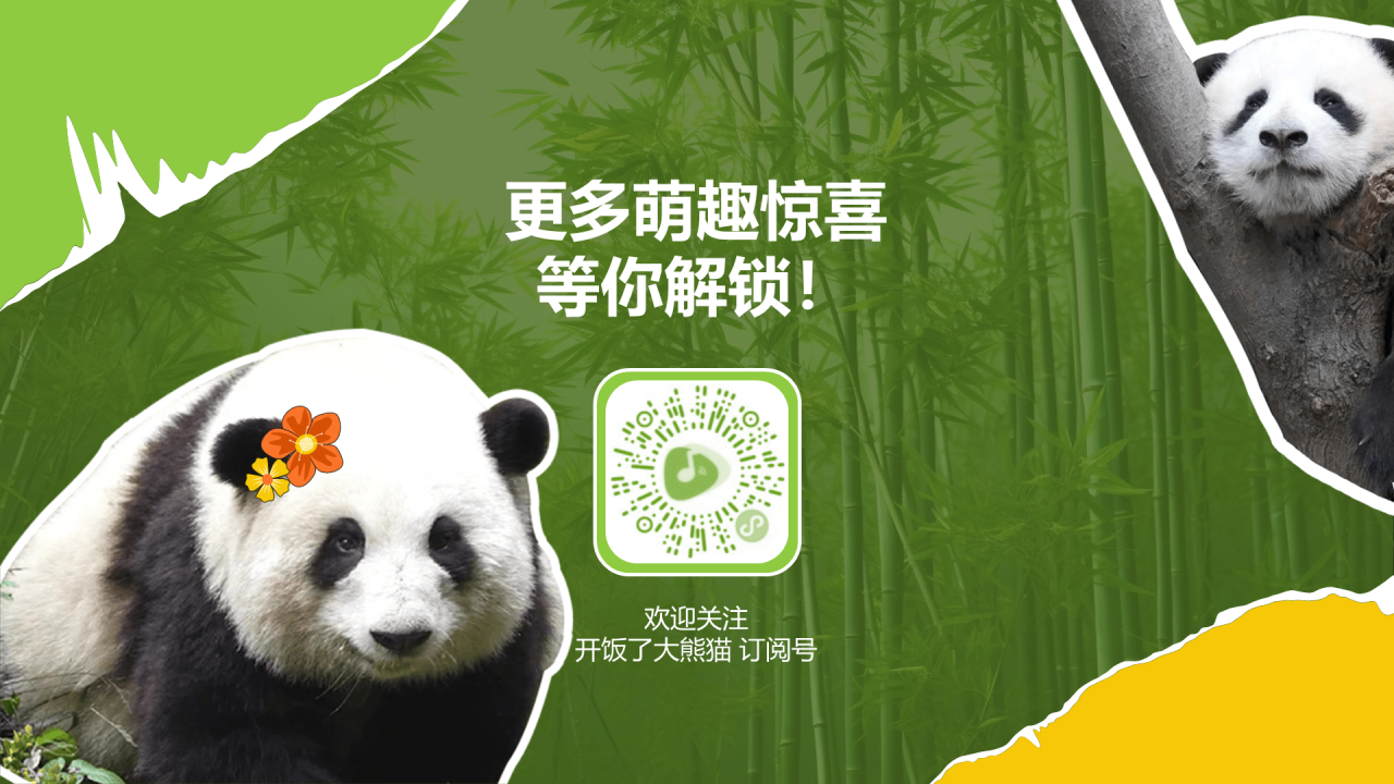 MIGUPANDA | 大熊猫和花和叶生日快乐