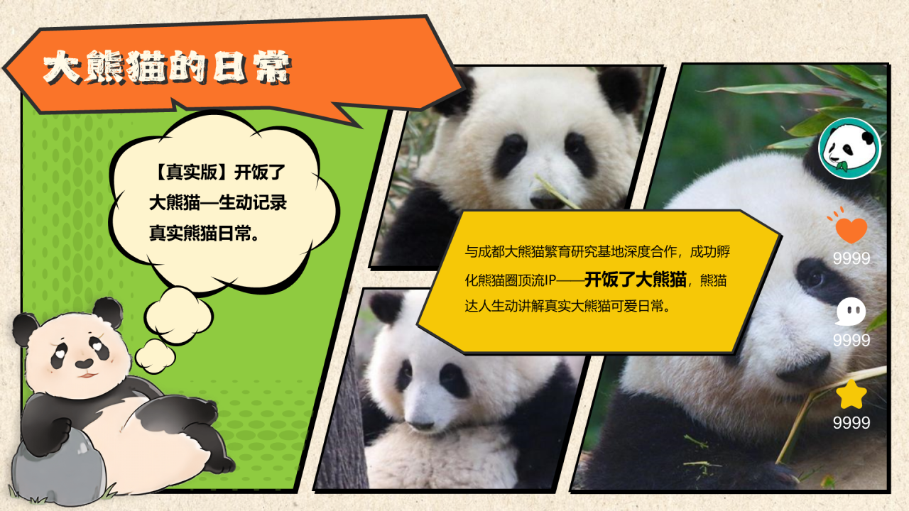 MIGUPANDA | 大熊猫和花和叶生日快乐