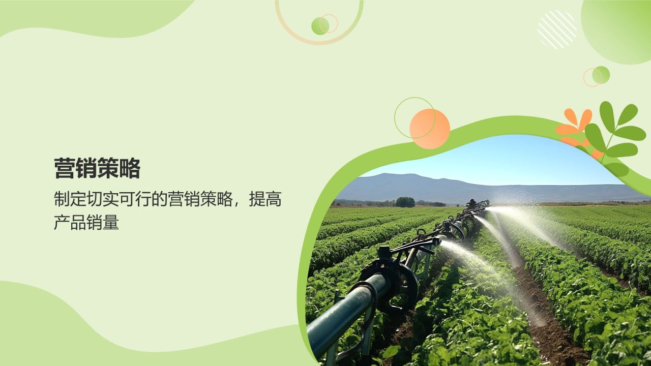 绿色扁平风互联网+质量兴农商业计划书PPT模板