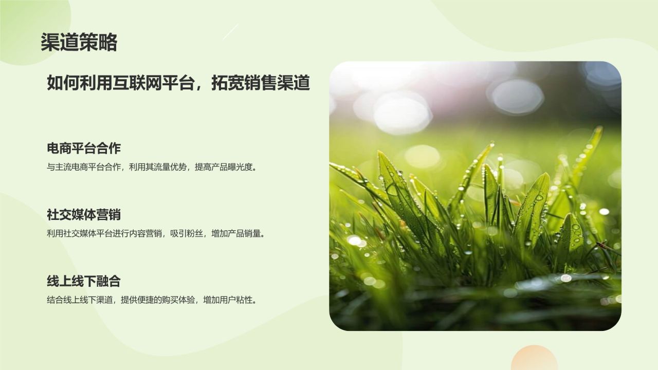 绿色扁平风互联网+质量兴农商业计划书PPT模板