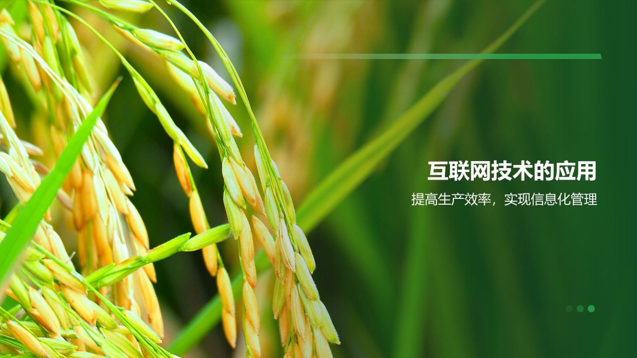 绿色商务风绿色兴农PPT模板