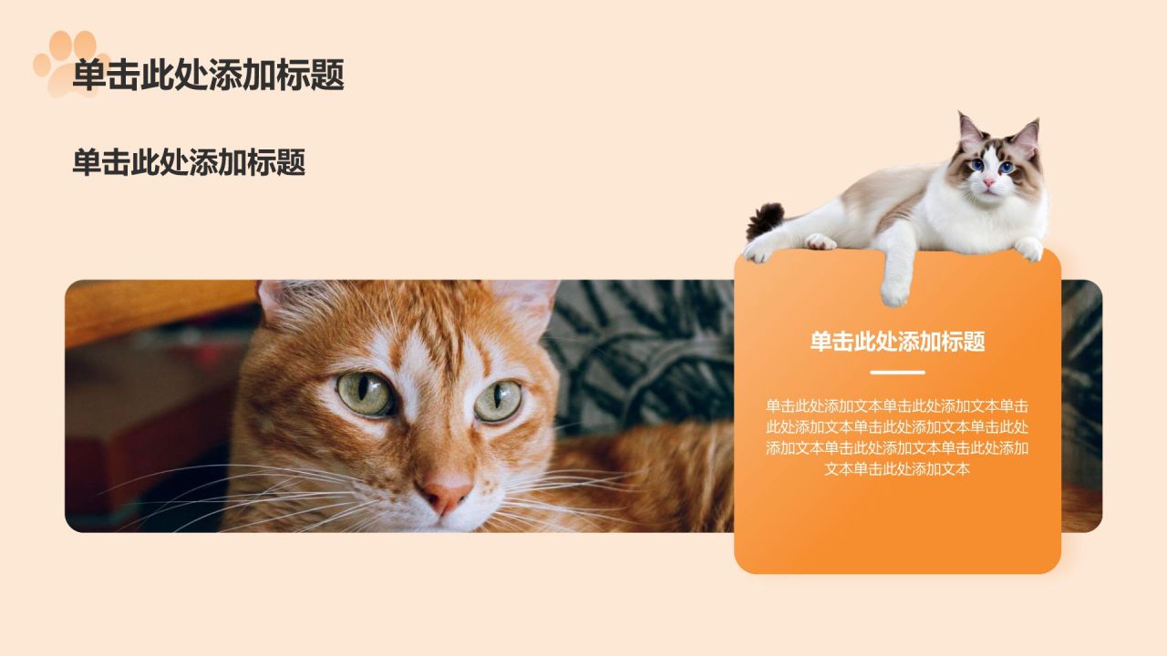 橙色卡通风可爱猫咪介绍PPT模板