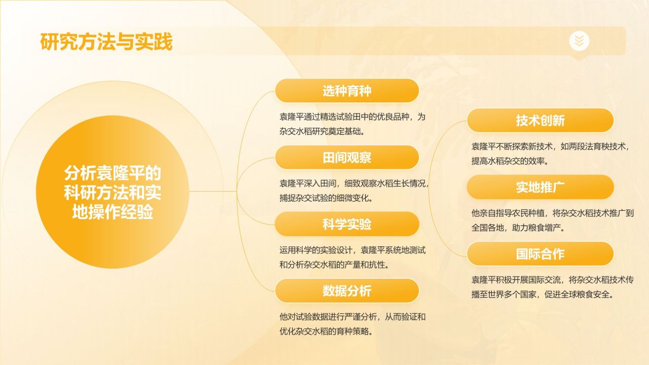 橙色插画风杂交水稻之父——袁隆平人物介绍PPT模板