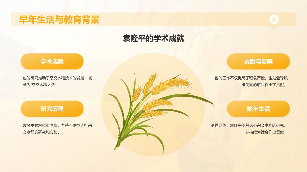 橙色插画风杂交水稻之父——袁隆平人物介绍PPT模板