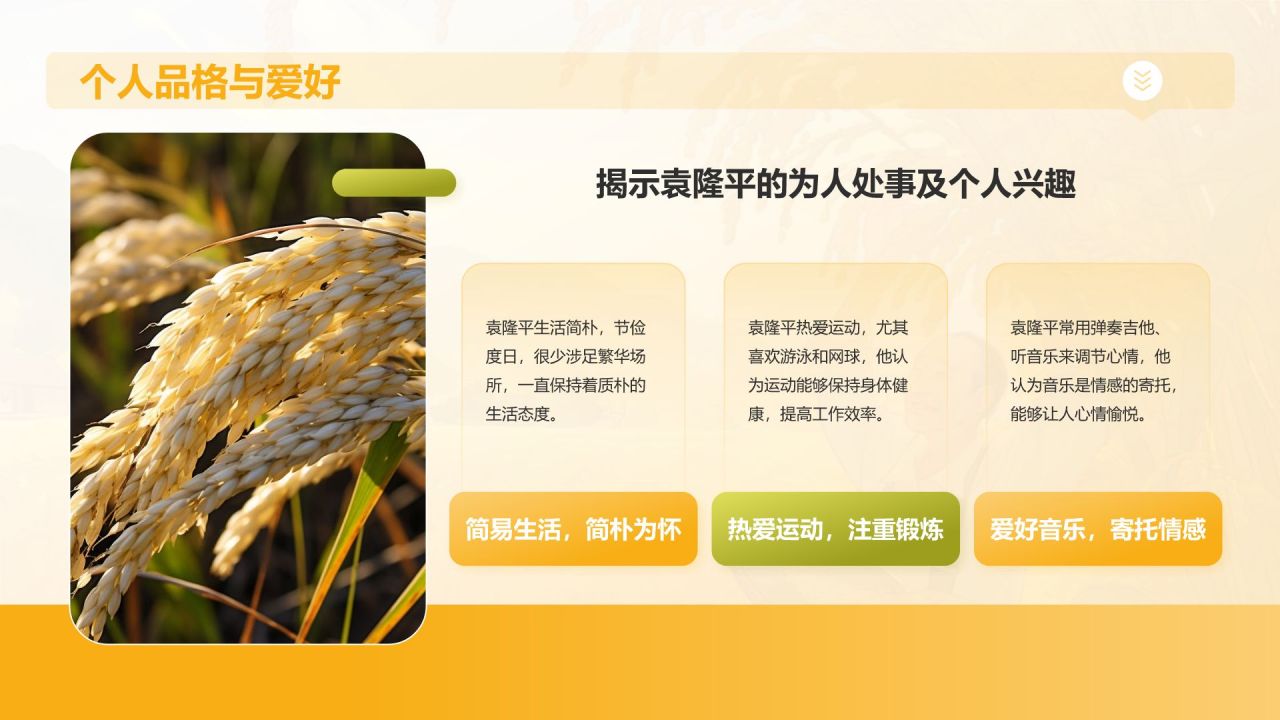 橙色插画风杂交水稻之父——袁隆平人物介绍PPT模板