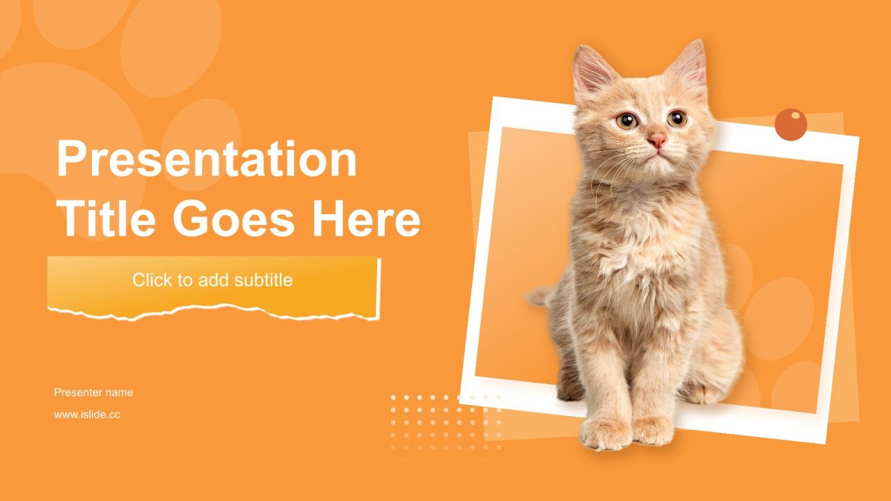 橙色渐变风可爱猫咪图集通用模板PPT主题