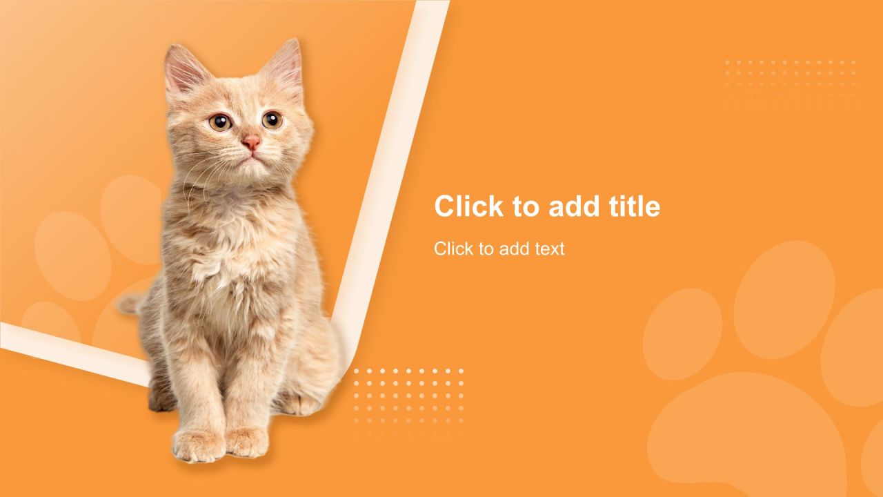 橙色渐变风可爱猫咪图集通用模板PPT主题