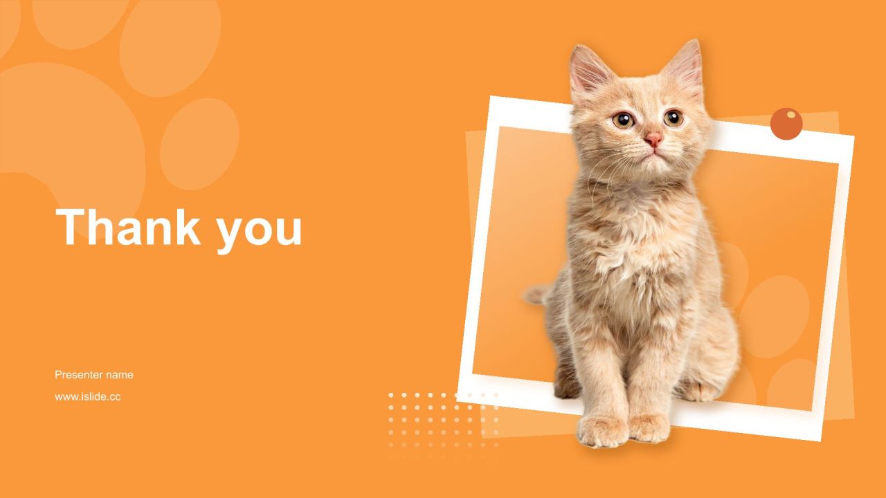 橙色渐变风可爱猫咪图集通用模板PPT主题
