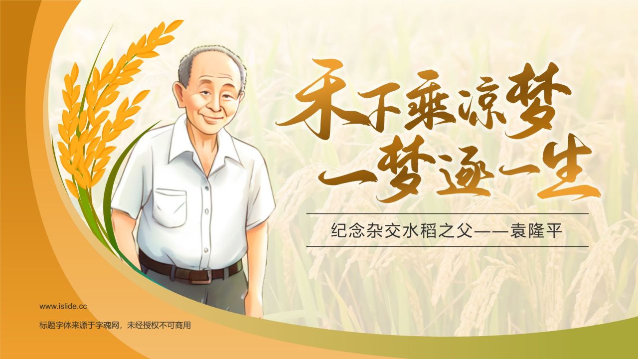 橙色插画风人物事迹介绍——袁隆平PPT模板
