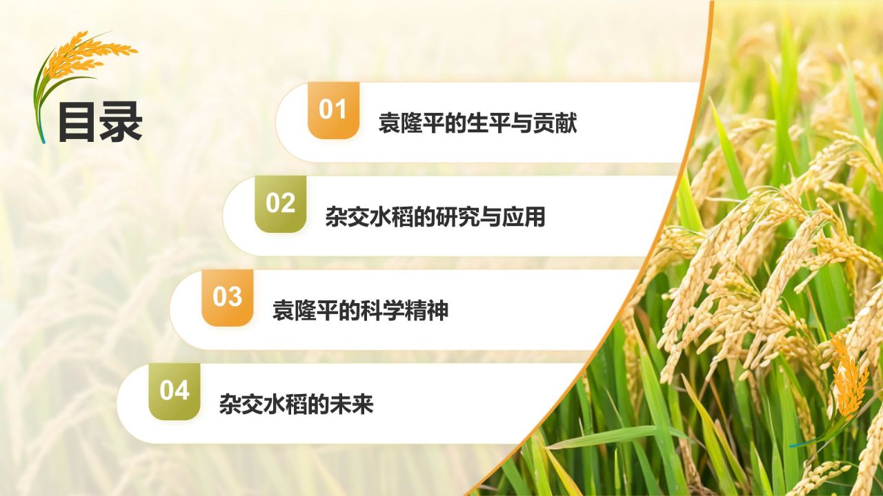 橙色插画风人物事迹介绍——袁隆平PPT模板