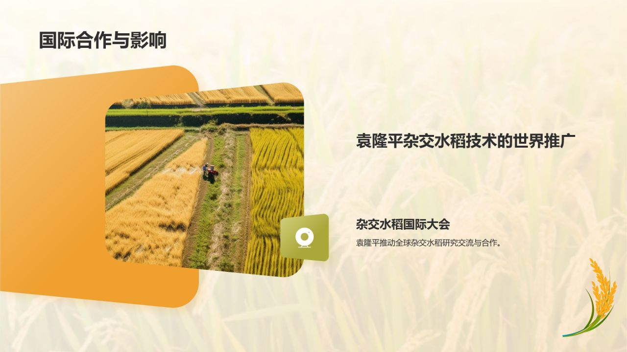 橙色插画风人物事迹介绍——袁隆平PPT模板