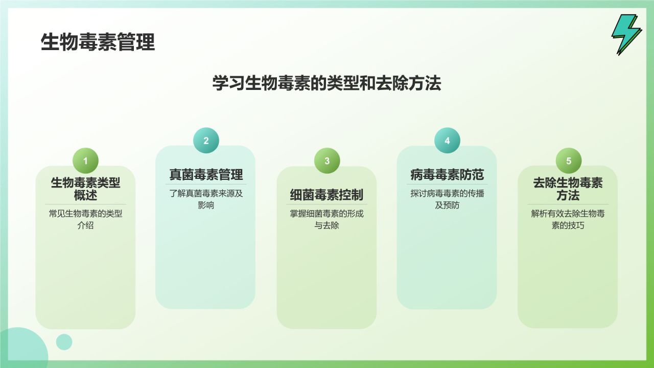 绿色插画风关注食品安全健康问题PPT模板