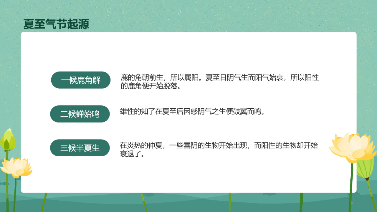 绿色清新荷叶插画夏至节气PPT