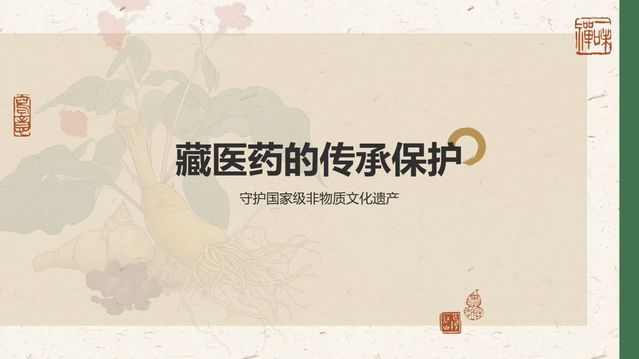 绿色复古风非遗文化介绍——藏医药PPT模板