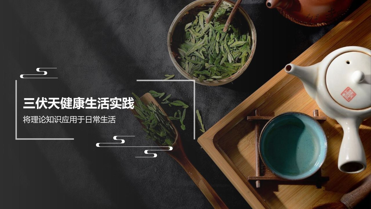 黑色复古风三伏天PPT模板