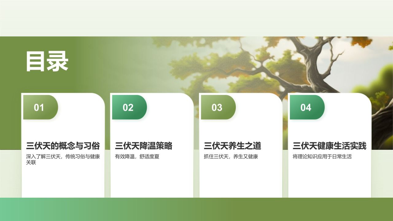 黑色复古风三伏天PPT模板